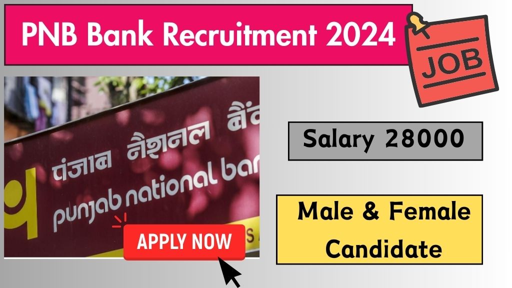 PNB Bank Recruitment 2024
