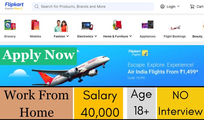 Flipkart Work From Home Job 2024