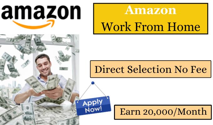 Amazon Work From Home Job