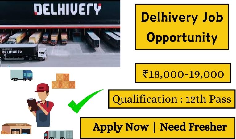 Delhivery Job Opportunity 2024