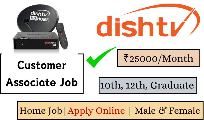 Job Opportunity with Dish TV